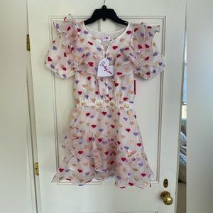 NWT Buddy Love Norma Dress
